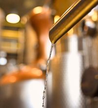 shutterstock_1330509365 (1)